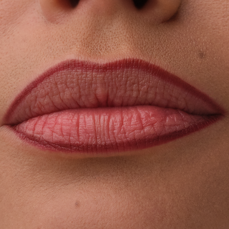 Catrice Precision Ink Lip Liner Stain 050 Dressed In Drama
