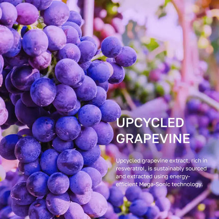 By Juccy Vinoberry Enriched Bakuchiol Nourishing Cream