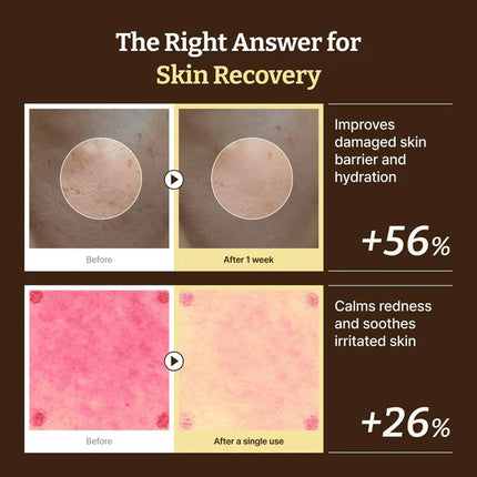 Dr. Rejuall Advanced PDRN Rejuvenating Cream