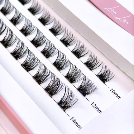 Lina Lien Press Lash Starterkit Elegance Black Glue Strip