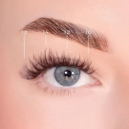 Lola's Lashes Bold Definition Dark Brown Pre-Glued Lashes