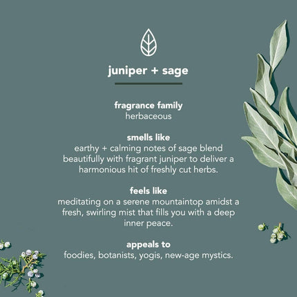 Method Body Body Wash Juniper + Sage