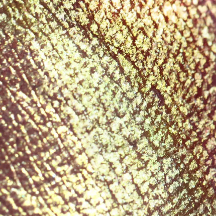 Moira Chromatic Show Liner 004 Misbehaving